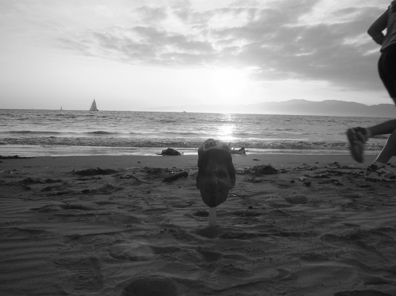 Dave Goes to Cali 03