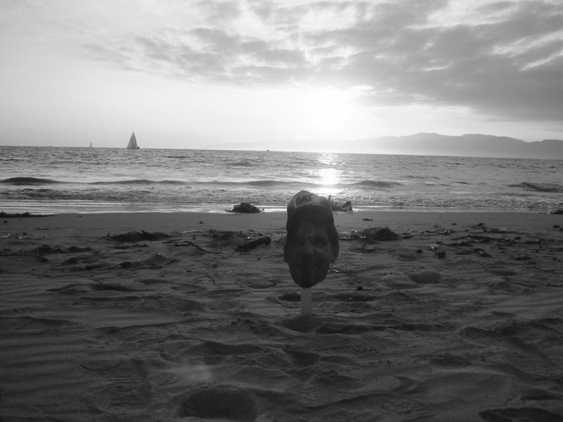 Dave Goes to Cali 04