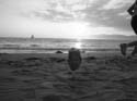Dave Goes to Cali 03